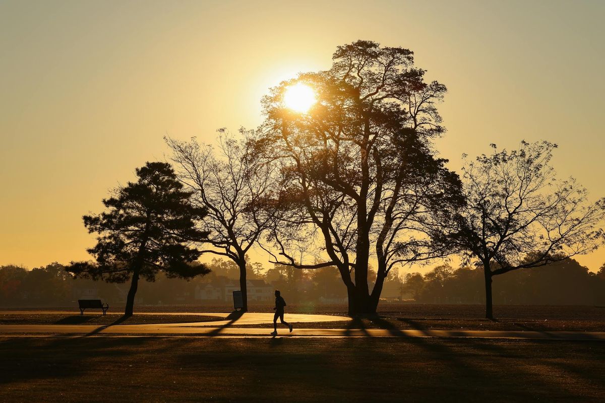 A solitary runner enjoys a tranquil morning jog at sunrise.